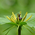 2014福山植物園