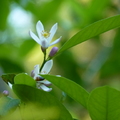 2020.2月.植物園