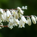 2014福山植物園