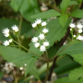 2024.04-06月.植物園