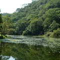 2014福山植物園