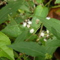 2024.04-06月.植物園