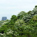 2012風景