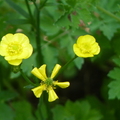 2024.04-06月.植物園