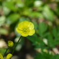 2024.04-06月.植物園