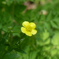 2024.04-06月.植物園