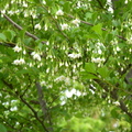 2019.04.24-25佐嘉神社散策