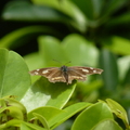 2024.04-06月.植物園