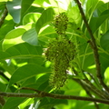 2018植物園(8月之後)