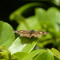 2024.04-06月.植物園