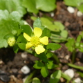 2024.04-06月.植物園