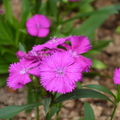 2022.05.08新生園區