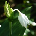 2024.01-03月.植物園