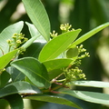 2024.04-06月.植物園