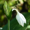 2024.01-03月.植物園