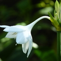 2024.01-03月.植物園