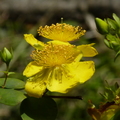 2015福山植物園