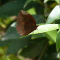 2024.04-06月.植物園