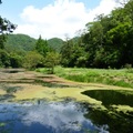 2014福山植物園