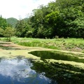 2014福山植物園