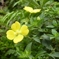 2024.04-06月.植物園