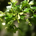 2020.2月.植物園