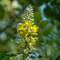 2020.10.26植物園