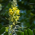 2020.10.26植物園