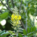 2020.10.26植物園