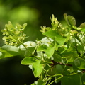 2020.2月.植物園