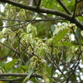 2024.04-06月.植物園