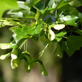 2020.2月.植物園