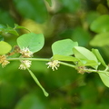 2020.10.26植物園