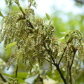 2024.04-06月.植物園