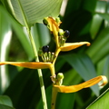 2019植物園