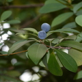 2021.12.09新生園區