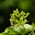 2020.2月.植物園