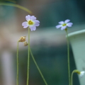 2024.04-06月.植物園