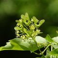 2020.2月.植物園