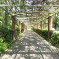 2016.06.24-ZS45植物園試拍