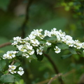 2024.01-03月.植物園