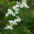 2024.01-03月.植物園