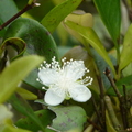 2024.04-06月.植物園