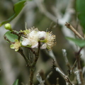 2024.04-06月.植物園