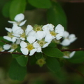 2024.01-03月.植物園