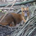 2024動物園