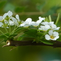 2024.01-03月.植物園