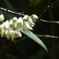 2024.04-06月.植物園