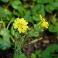 2020.10.26植物園