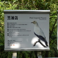 2024動物園